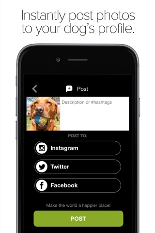 Pack Dog - Post your dog photos and meet dog owners by breed and city screenshot 4