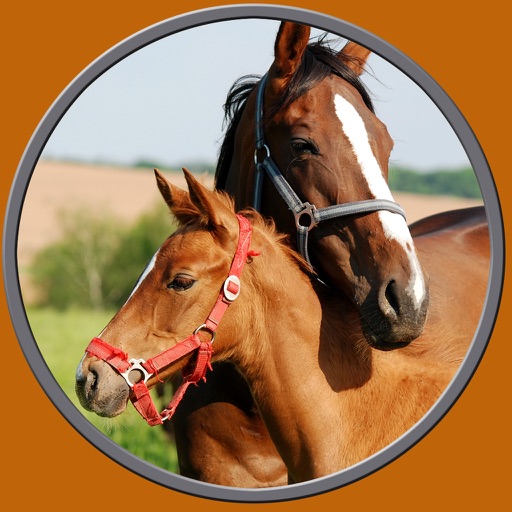 horses pictures to win for kids - free game icon