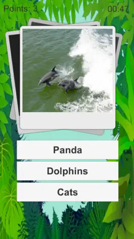 Game screenshot Animal Quiz Kids apk