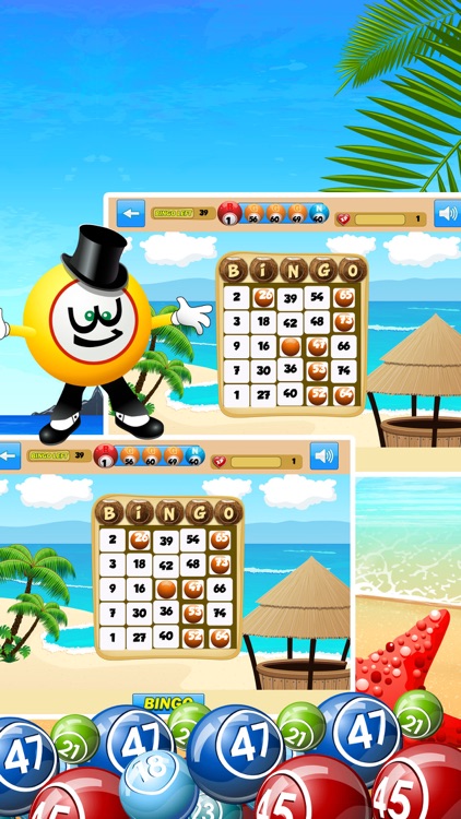 Bingo Bash For Free Pro screenshot-3