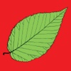 FP Tree ID App