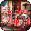 Magical House Hidden Object