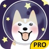 Dog Space Quest Pro