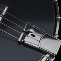 Banjo Lessons - Tips to Become a Better Banjo Player  PC 용