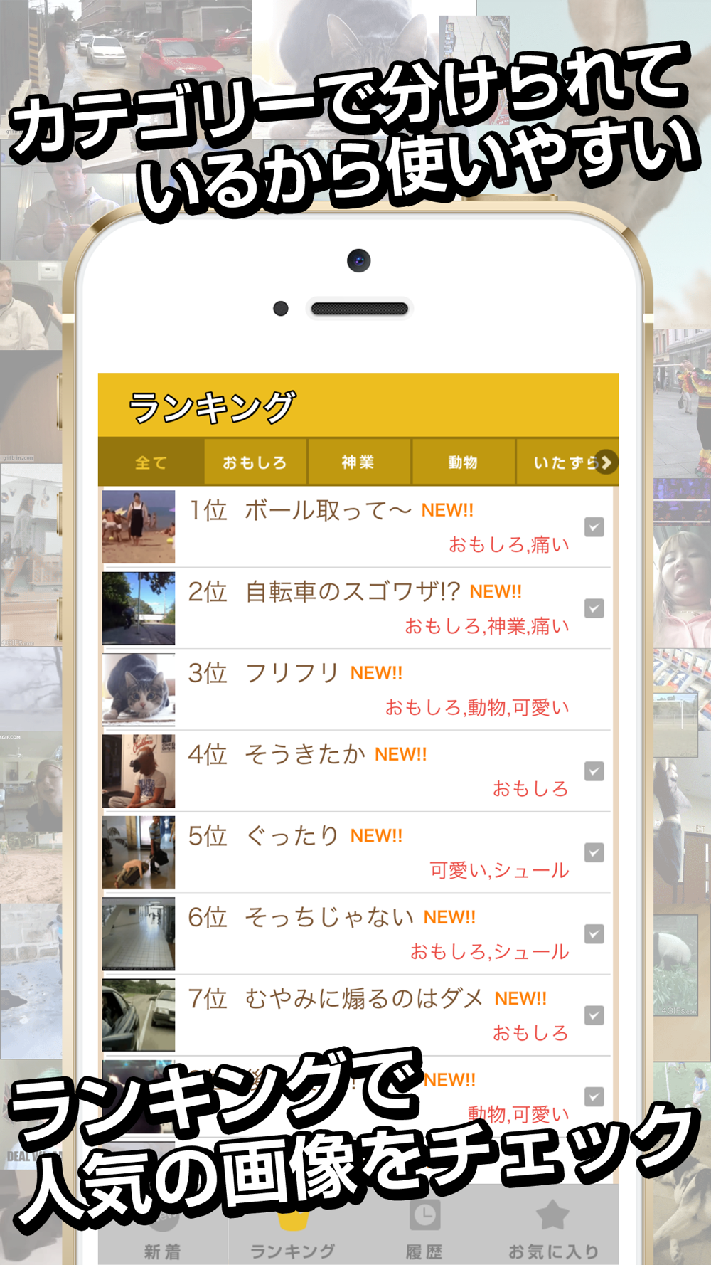 俺のgif 絶対笑えるおもしろgifアニメ画像 Free Download App For Iphone Steprimo Com