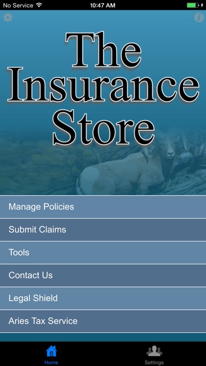 The Insurance Store