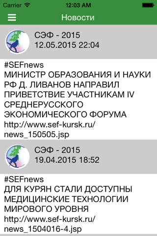 Среднерусский экономический форум screenshot 2