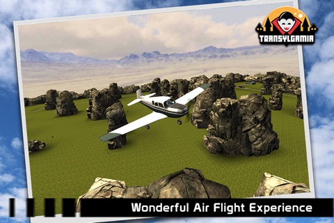 Real Plane 3D Flight Simulator screenshot 3