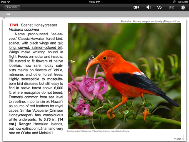 Bird ID Hawaii for iPad