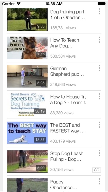 Dog Potty Training - How to Housetrain Your Dog