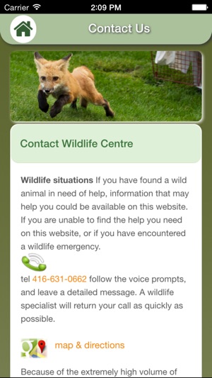 Wildlife Help - Toronto Wildlife Centre Rescue Injured, Sick(圖4)-速報App