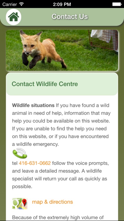 Wildlife Help - Toronto Wildlife Centre Rescue Injured, Sick & Orphaned Wild Animals screenshot-3