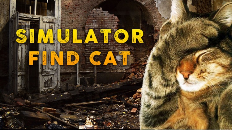 Simulator Find Cat