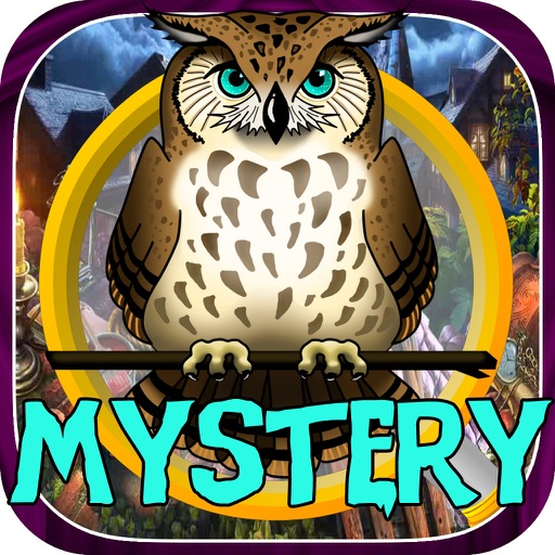 Hidden Objects:mystery of owl spirits Icon