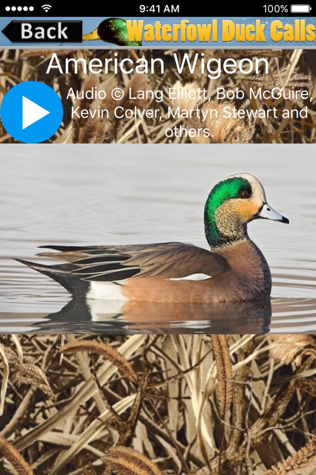 Waterfowl Duck Calls screenshot 2