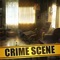 Can You Escape - Criminal Case is a super addictive brain puzzle, where you will have to find the differences between two pictures each time you play