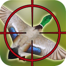 Activities of Duck Hunting: Angry Shooting Game