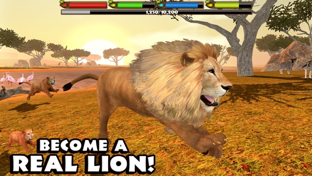 Ultimate Lion Simulator(圖1)-速報App