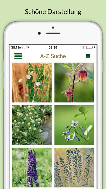 Blumen bestimmen – entdecken Sie, welche Pflanzen und Blüten Sie in Natur und Garten umgeben screenshot-3