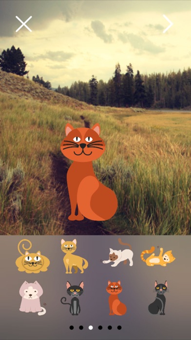 Now That's Cats & Kittens: Turn Your Photos Into Greeting Cards With Stickersのおすすめ画像5