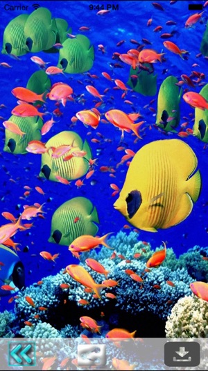 Aquarium Wallpapers-Fish Walls(圖3)-速報App