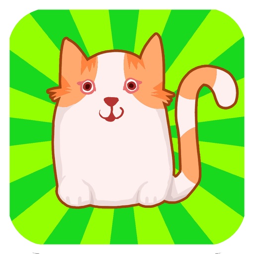 Baby Kitten Race Pro - Extreme Fun Pet Game for Kids Icon