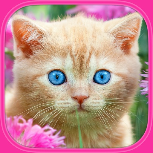 Cats & Kittens Puzzles - Logic Game for Toddlers, Preschool Kids, Little Boys and Girls iOS App