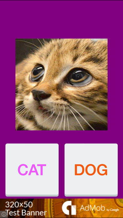 Tic Toc: Cat or Dog screenshot 2
