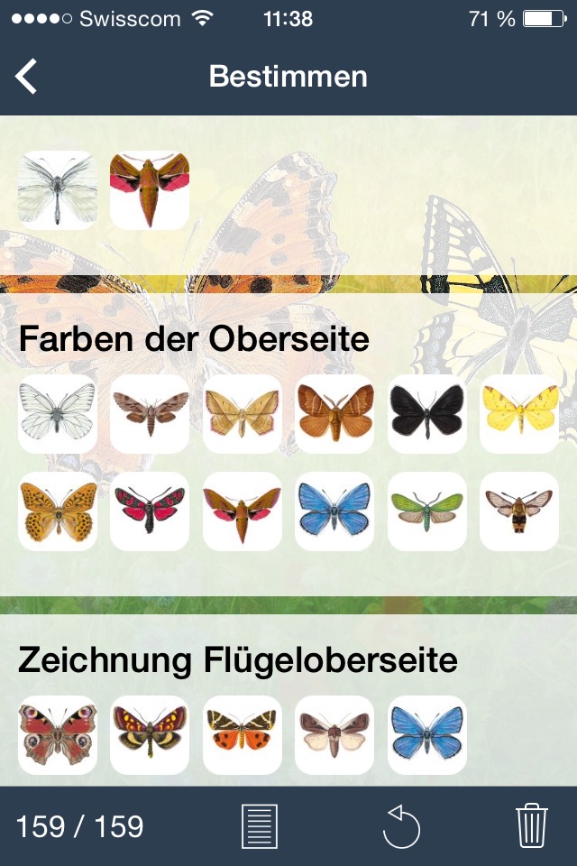 Tagaktive Schmetterlinge screenshot 4