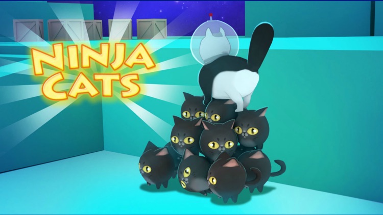 Ninja Cats Game