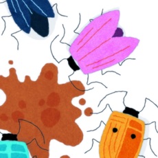 Activities of Cat Squash Bug