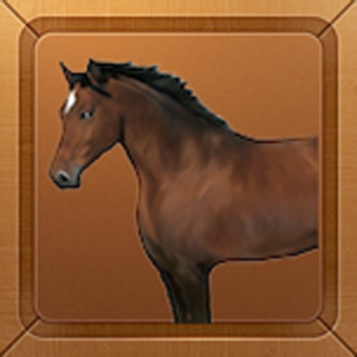 Horse Race2 Icon