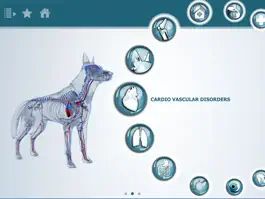 Game screenshot IDEXX Pet Health Network® 3D apk