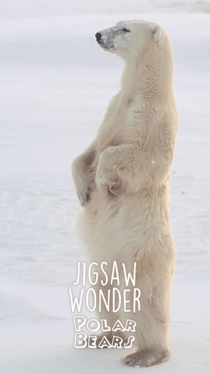 Jigsaw Wonder Polar Bears for Kids screenshot-4