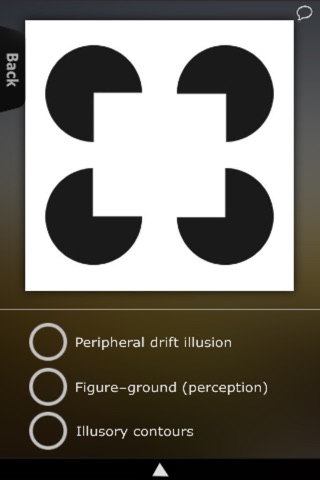 Optical Illusions Guide screenshot 3