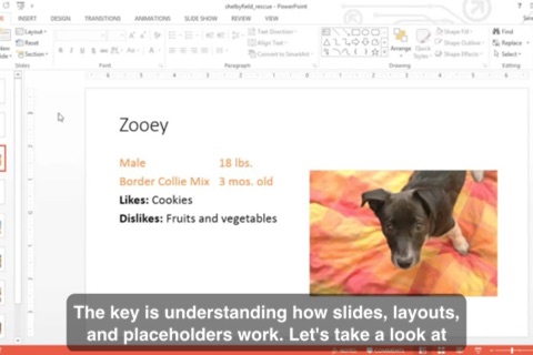 Computer Skills Presentations screenshot 3