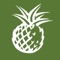 PineappleSearch is the first ever search engine built by the hospitality industry for the hospitality industry