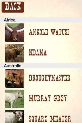 Cattle Breeds: Various Types of Cattle screenshot 3