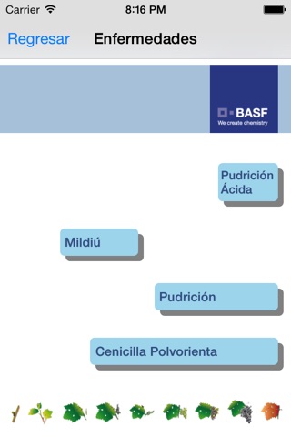 BASF México - Cultivo de la Uva screenshot 3