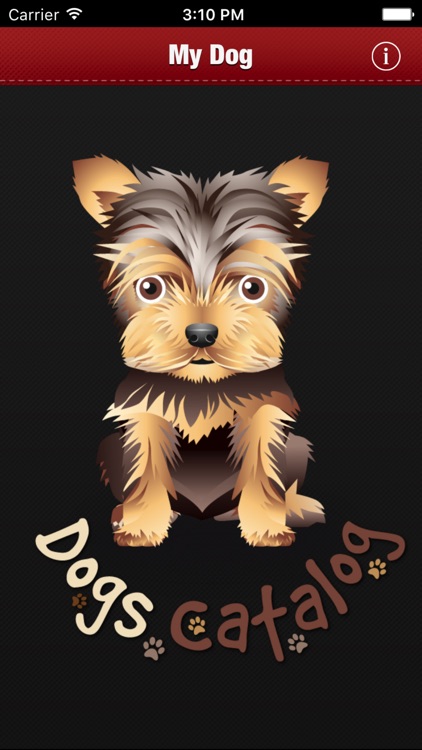 Dogs Catalog