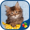 Icon Cute Cats - Real Cat and Kitten Picture Jigsaw Puzzles Games for Kids