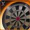 Professional Darts 3D