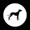 Pack Dog is an app that makes it easy for you and your family to upload and share photos of your dog and meet others who also have the same breed