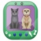 Virtual Pet 3D CROWN