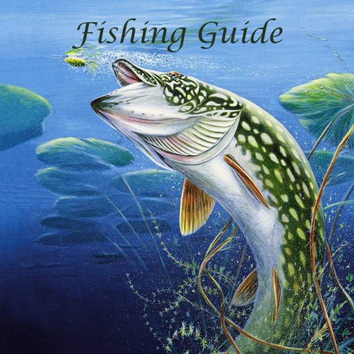 Fishing Guide - Become Fishing Kings icon