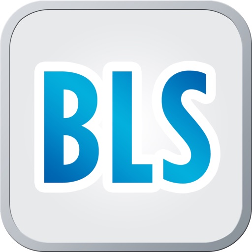 Build Lasting Success (BLS)