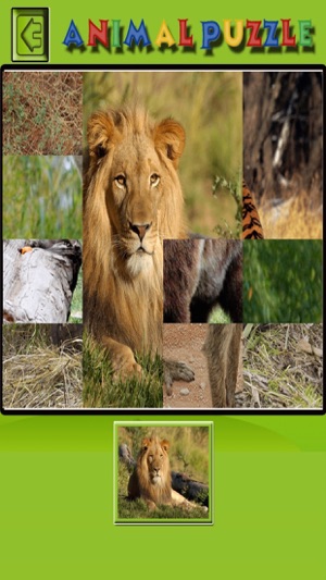 Kids Animal Puzzle - Wild animal puzzle 