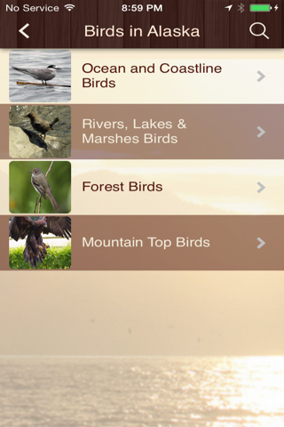 Alaska Bird Watching screenshot 2