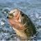 Fishing Guide is the complete video guide for you to learn Fishing