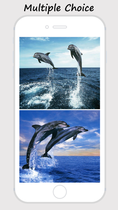 How to cancel & delete Dolphin Wallpapers - Best Collections Of Dolphin Pictures from iphone & ipad 1